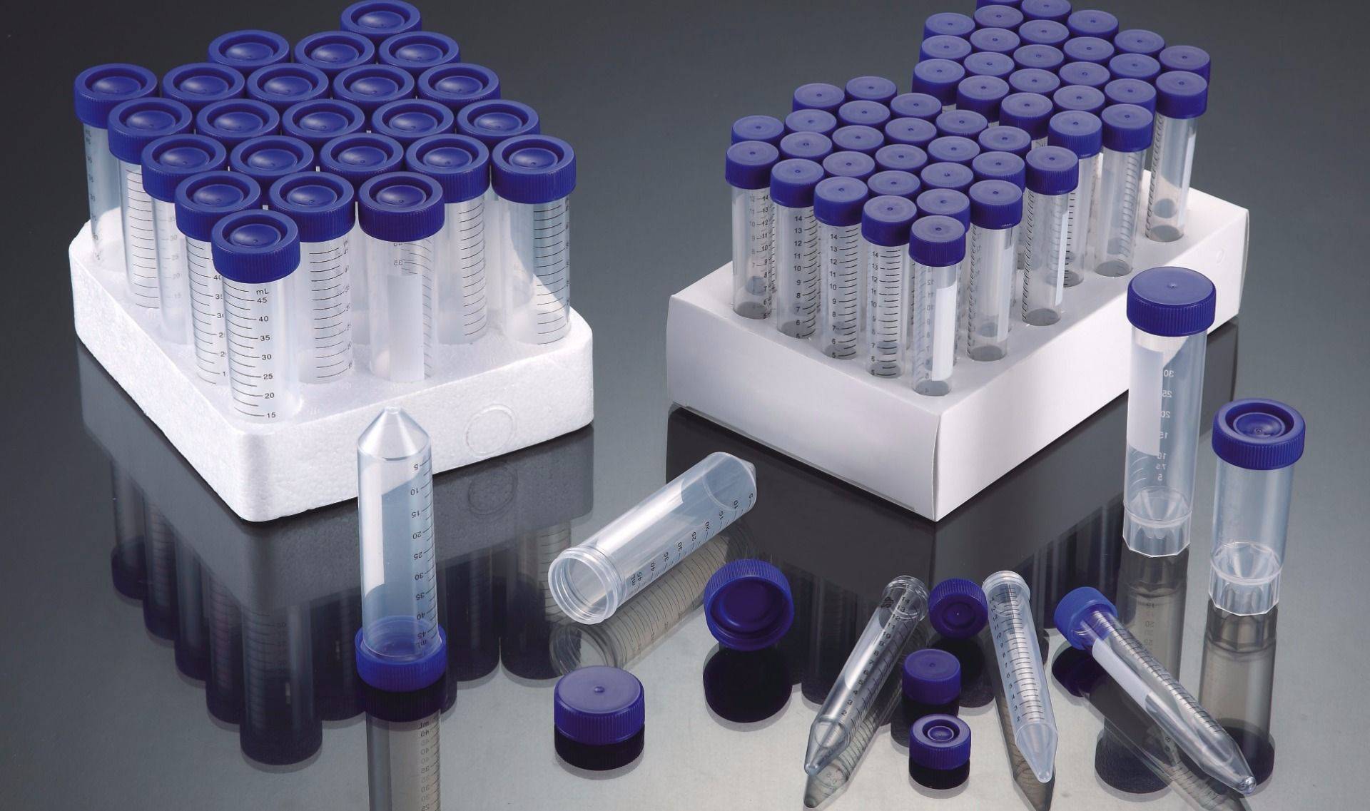 50ml Centrifuge tubes Conical base Plug Cap in Polystyrene rack